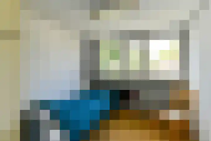 Tramstraat 44 Velp thumbnail 30