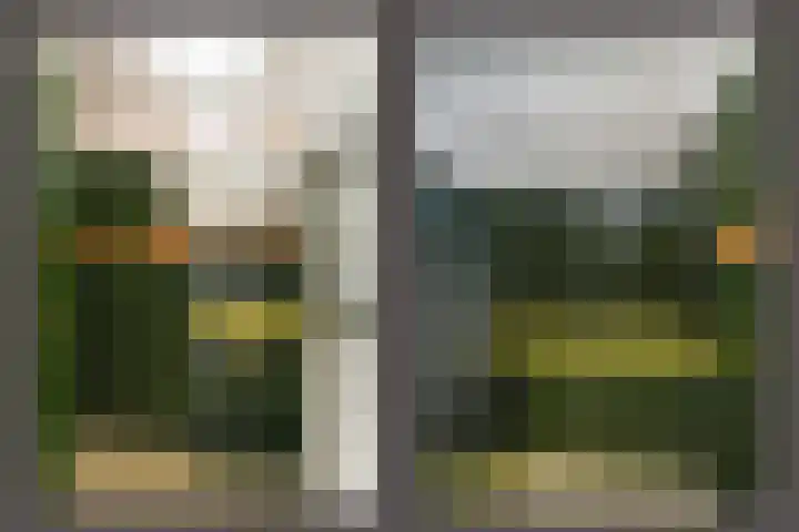 Tramstraat 44 Velp thumbnail 31