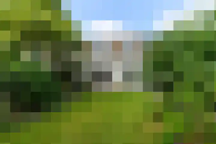 Tramstraat 44 Velp thumbnail 32