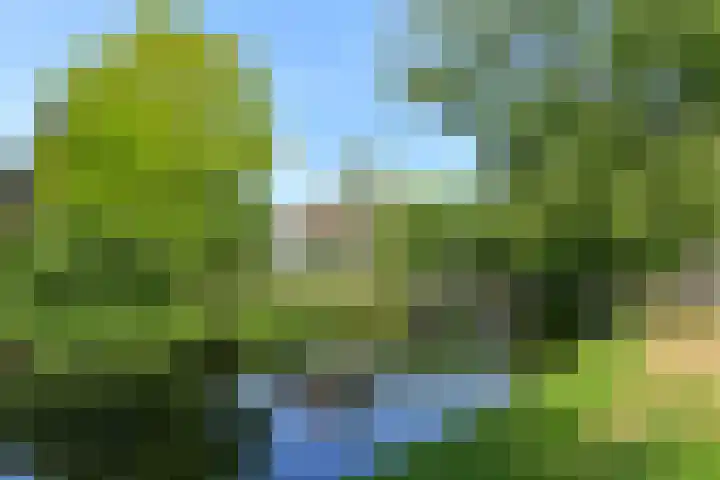 Tramstraat 44 Velp thumbnail 45