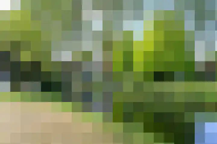 Tramstraat 44 Velp thumbnail 47