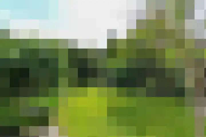 Tramstraat 44 Velp thumbnail 5