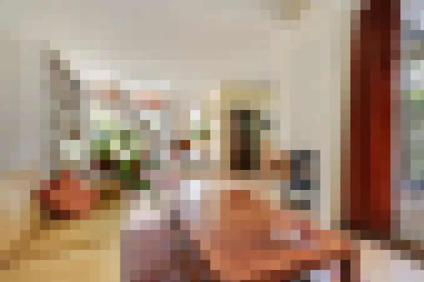 Tramstraat 47 Velp thumbnail 14