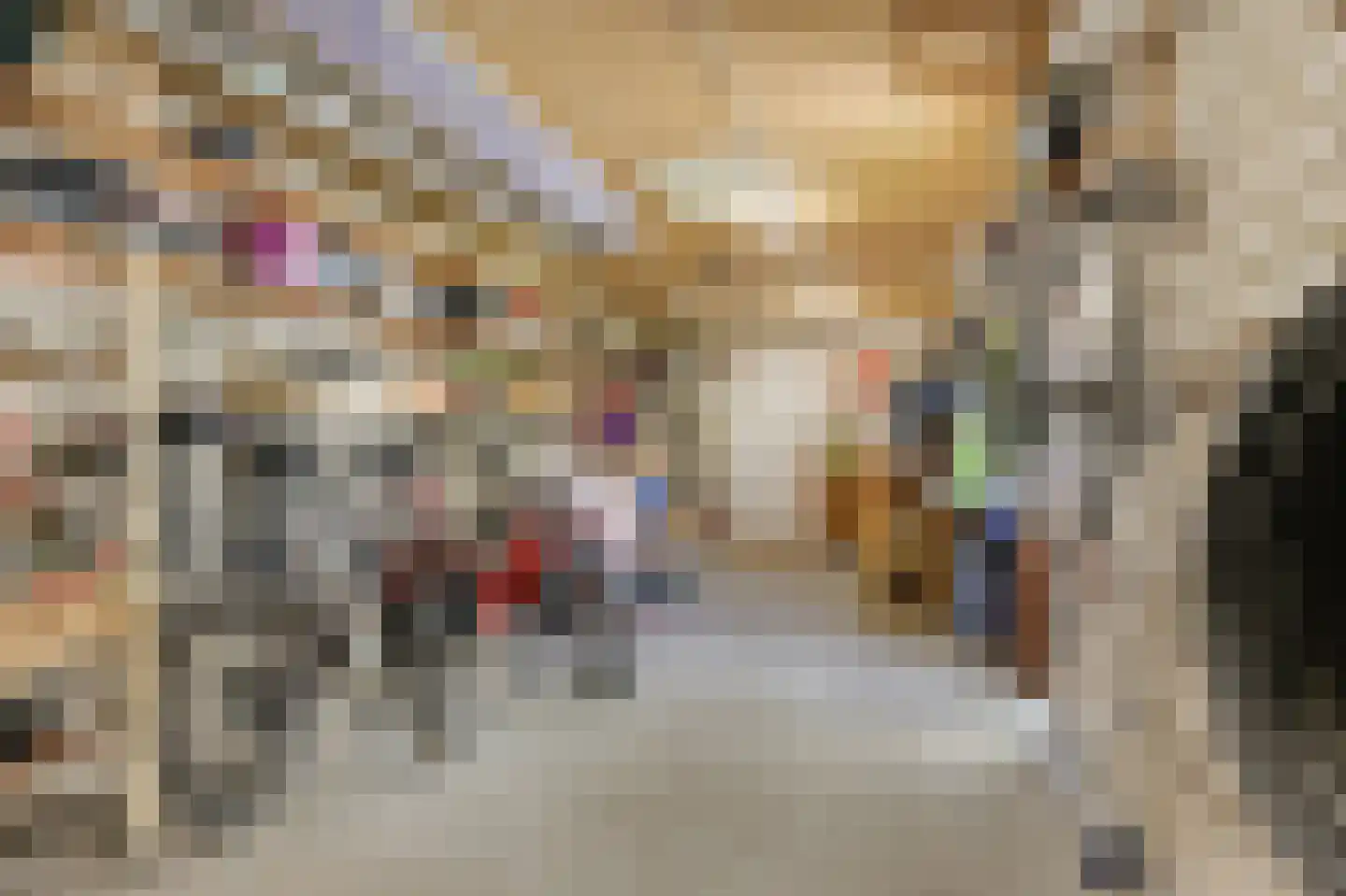 Tramstraat 47 Velp thumbnail 24