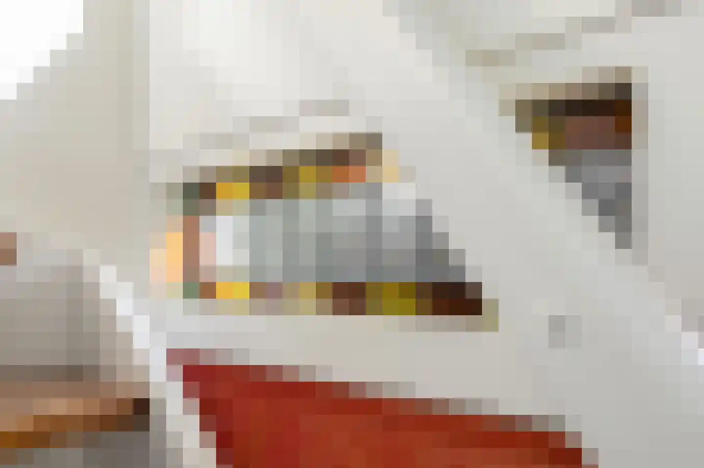 Tramstraat 47 Velp thumbnail 30