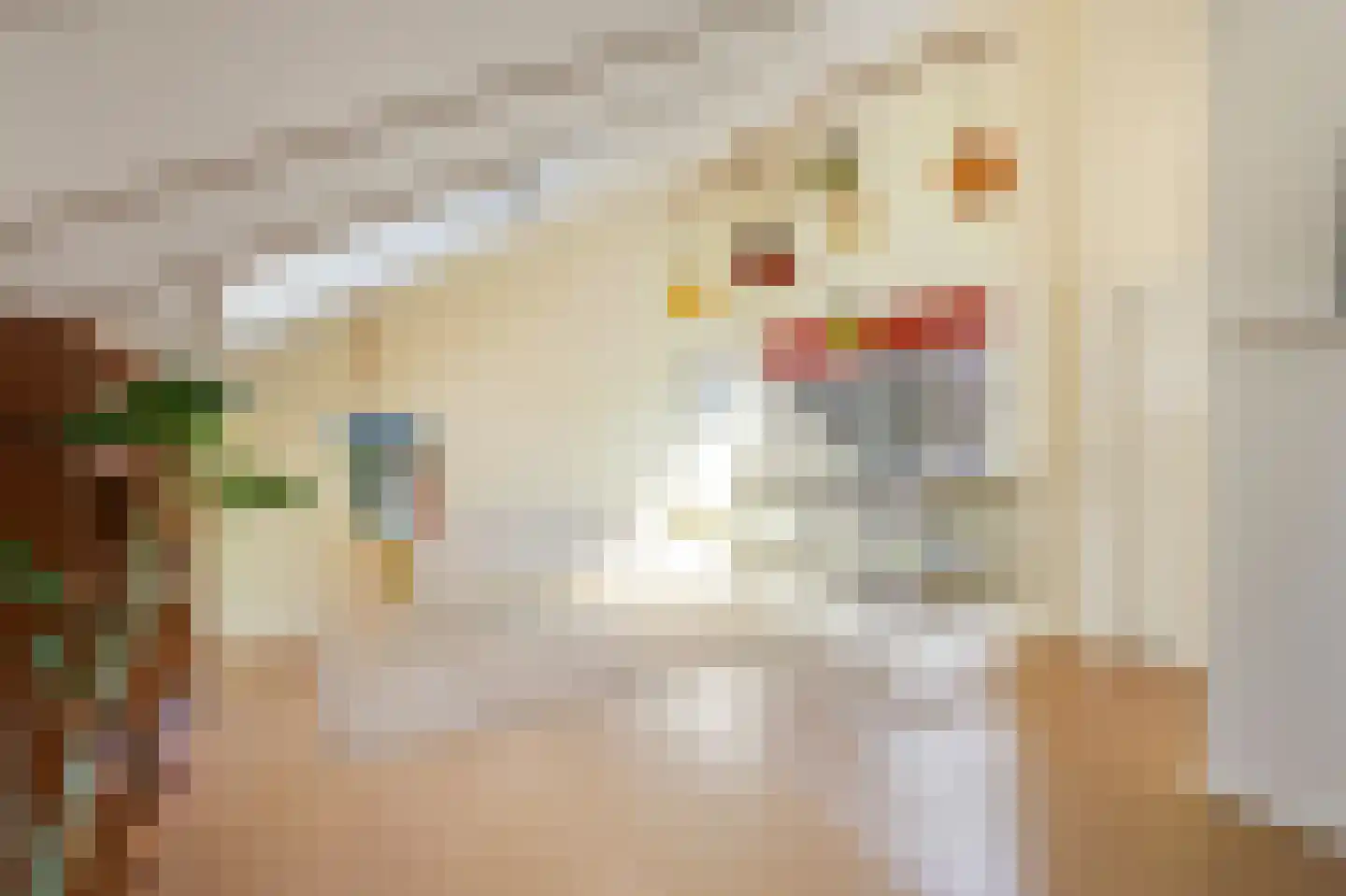 Tramstraat 47 Velp thumbnail 32
