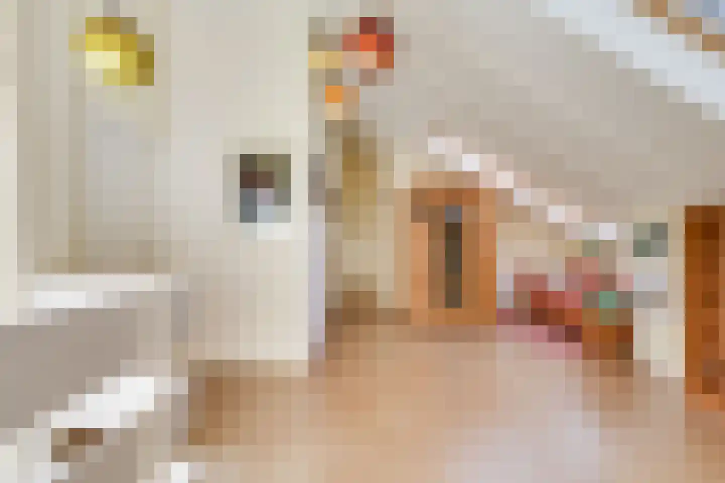 Tramstraat 47 Velp thumbnail 33