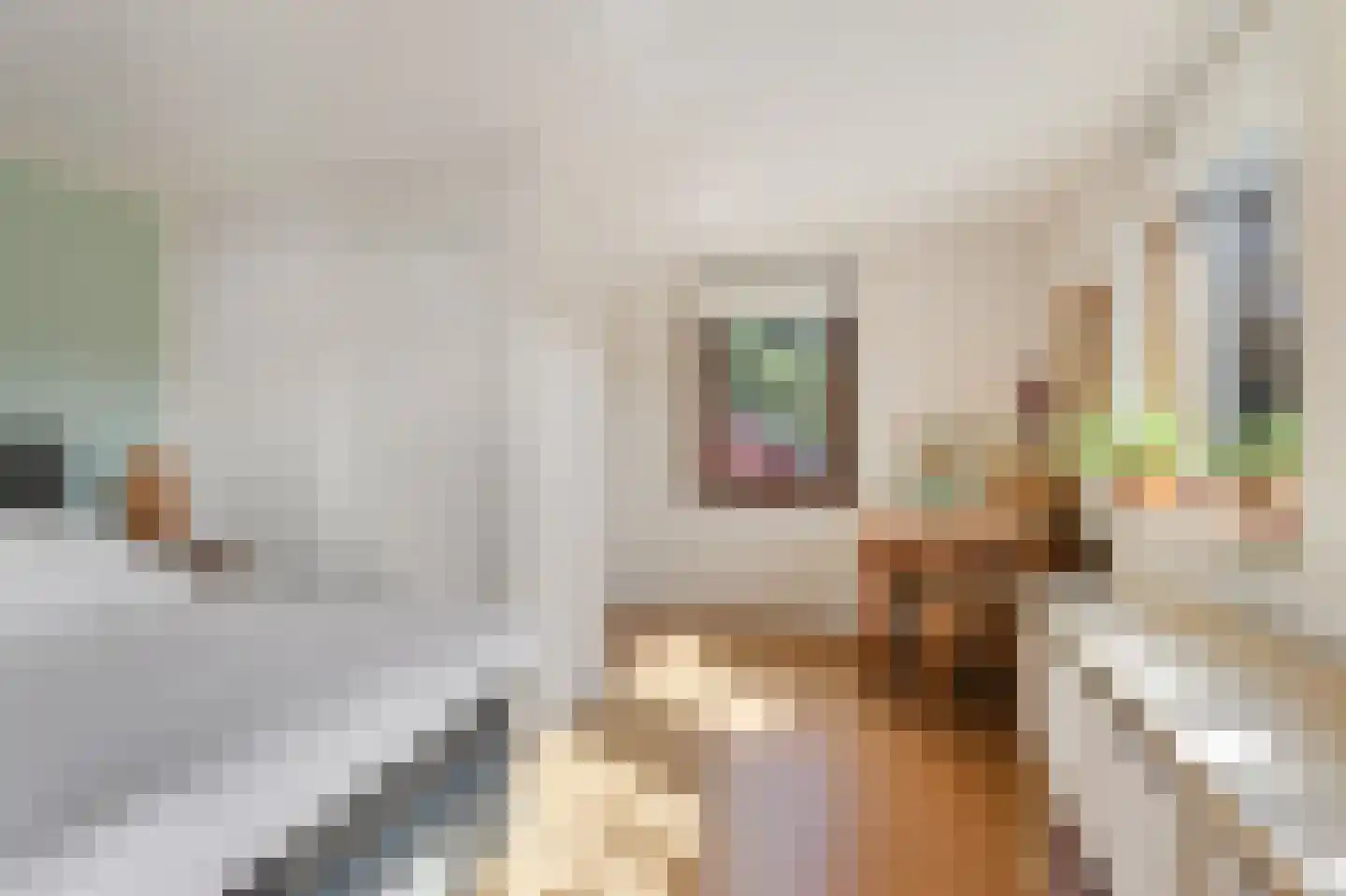 Tramstraat 47 Velp thumbnail 37