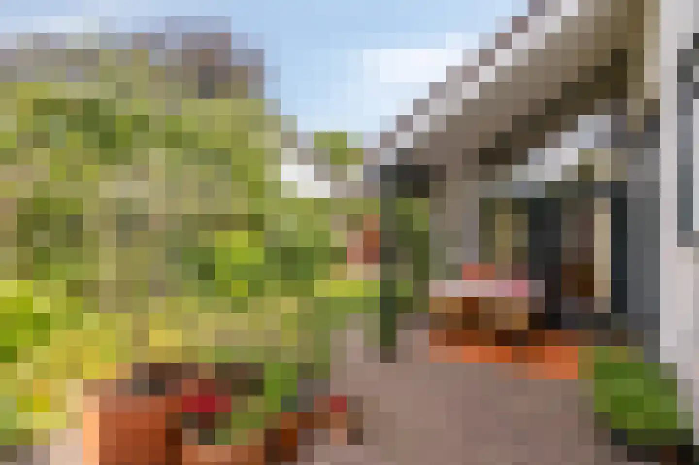 Tramstraat 47 Velp thumbnail 45
