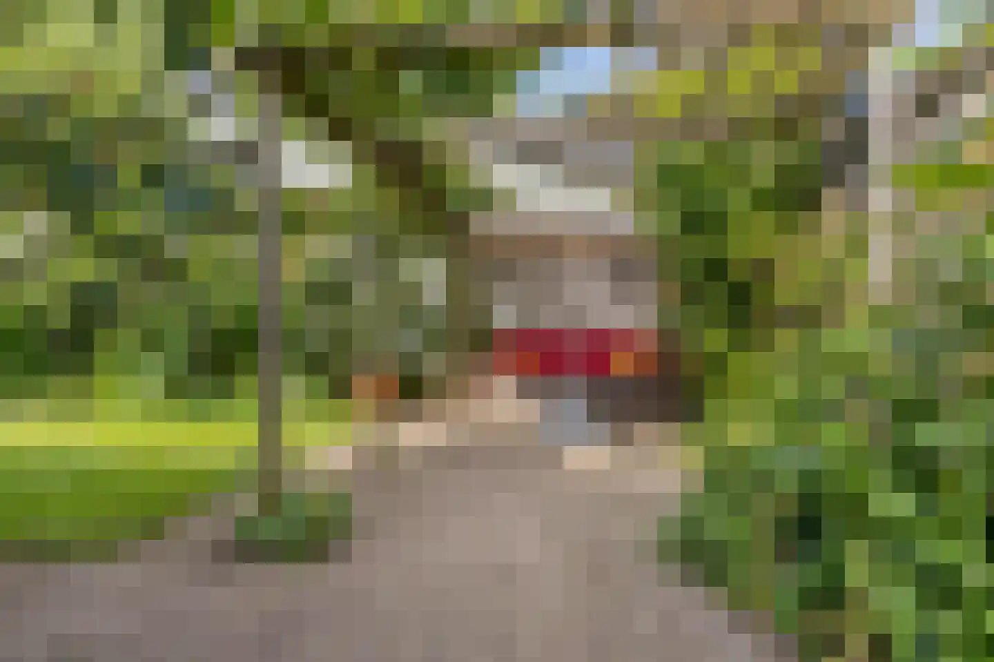 Tramstraat 47 Velp thumbnail 46