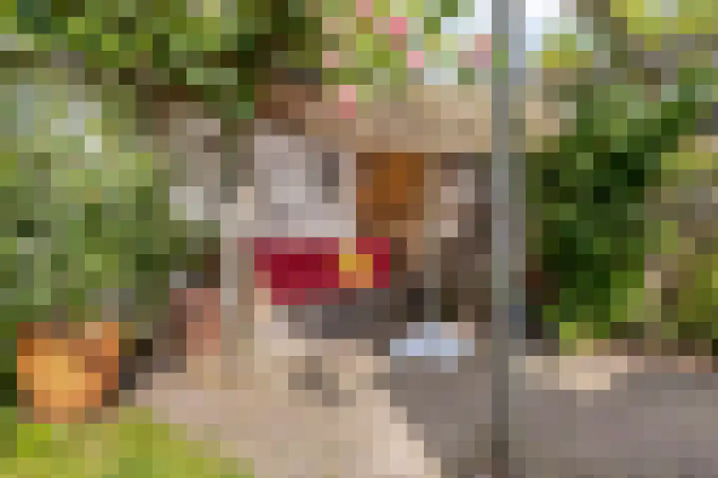 Tramstraat 47 Velp thumbnail 47