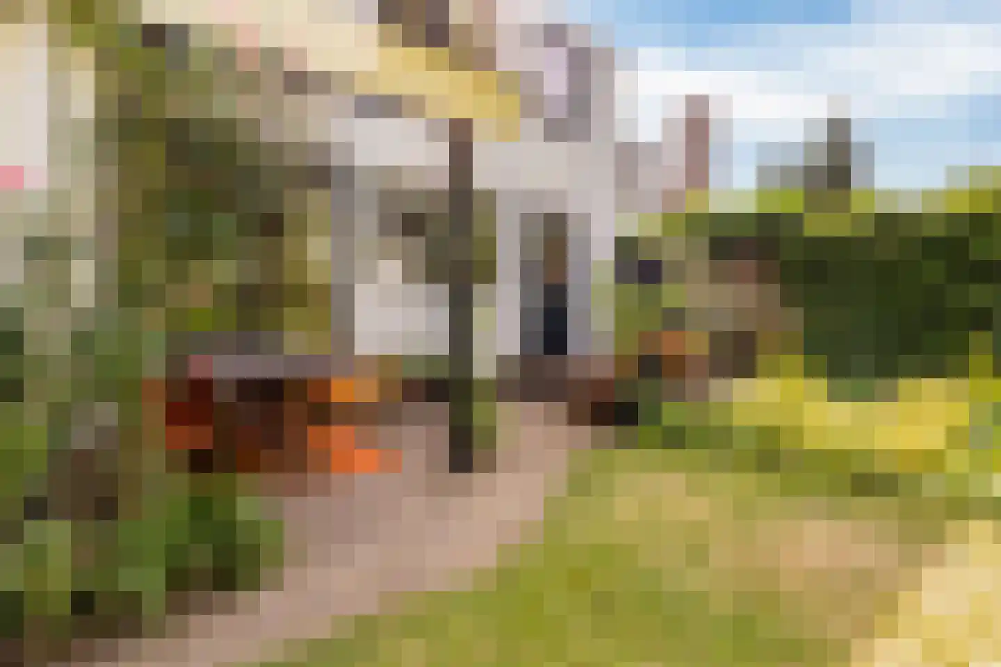 Tramstraat 47 Velp thumbnail 49