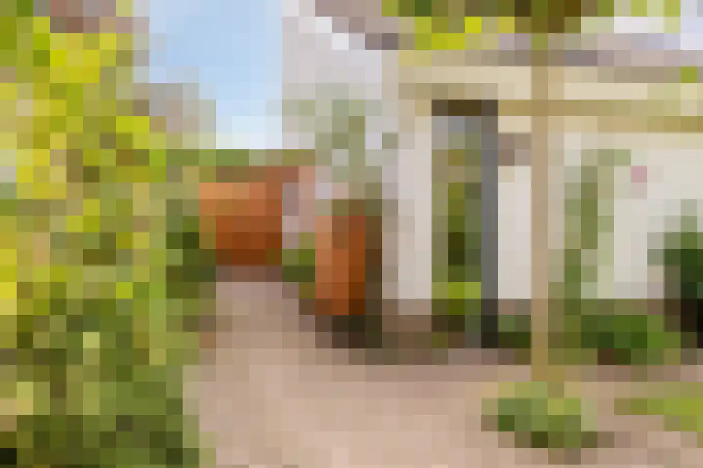 Tramstraat 47 Velp thumbnail 51