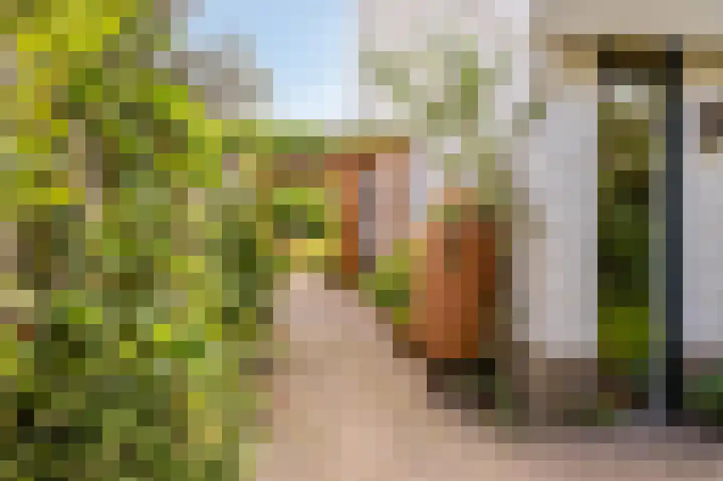 Tramstraat 47 Velp thumbnail 52