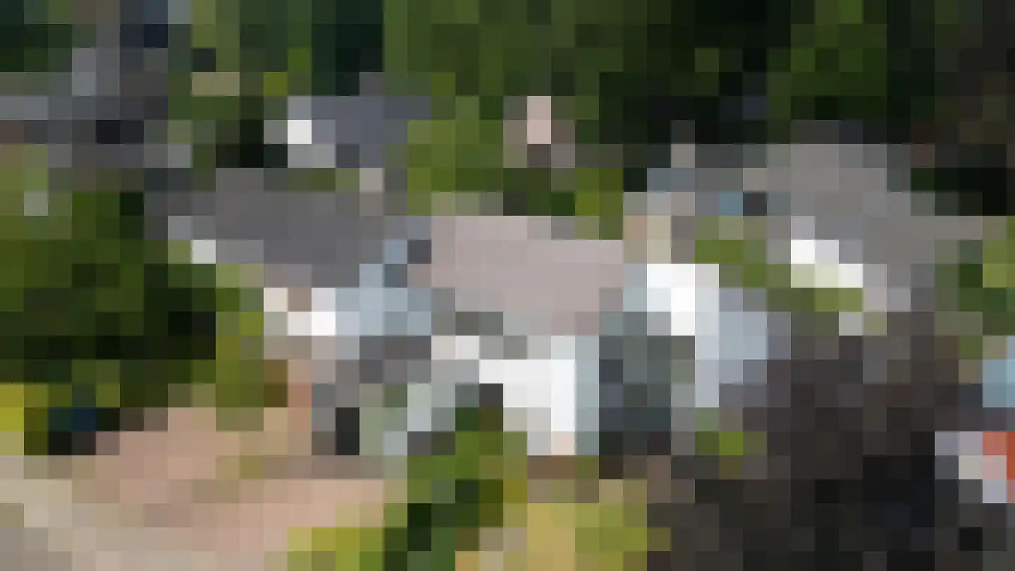 Tramstraat 47 Velp thumbnail 54
