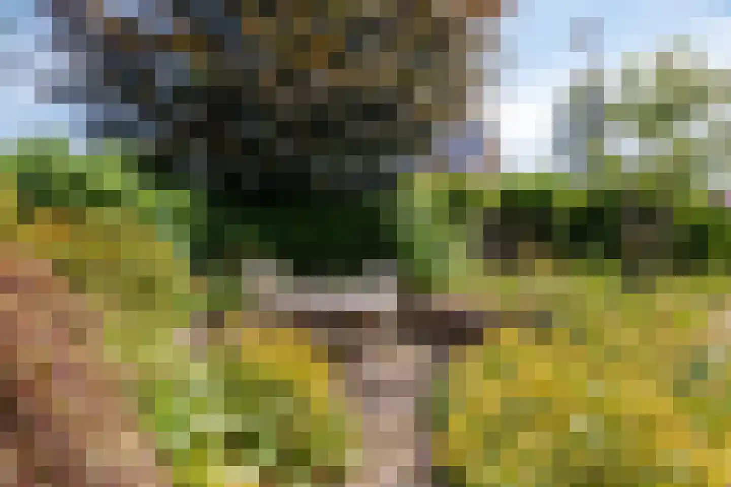 Tramstraat 47 Velp thumbnail 9