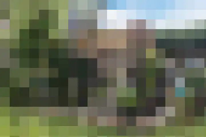 Tramstraat 49 Dongen thumbnail 30