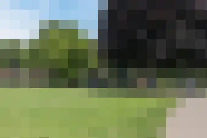 Tramstraat 49 Dongen thumbnail 61