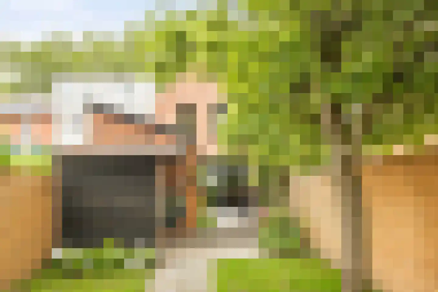 Tramstraat 49 Terneuzen thumbnail 20