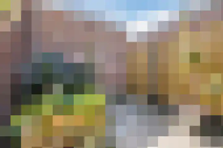Tramstraat 5 Terneuzen thumbnail 24