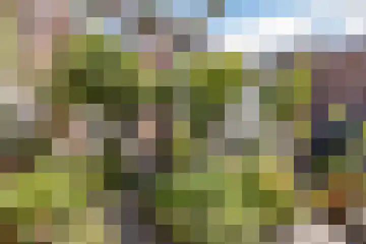 Tramstraat 5 Terneuzen thumbnail 25