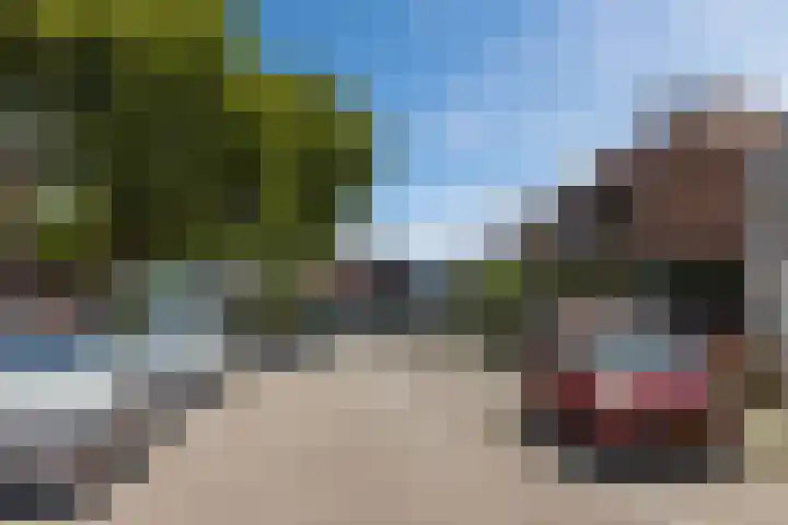 Tramstraat 5 Terneuzen thumbnail 26