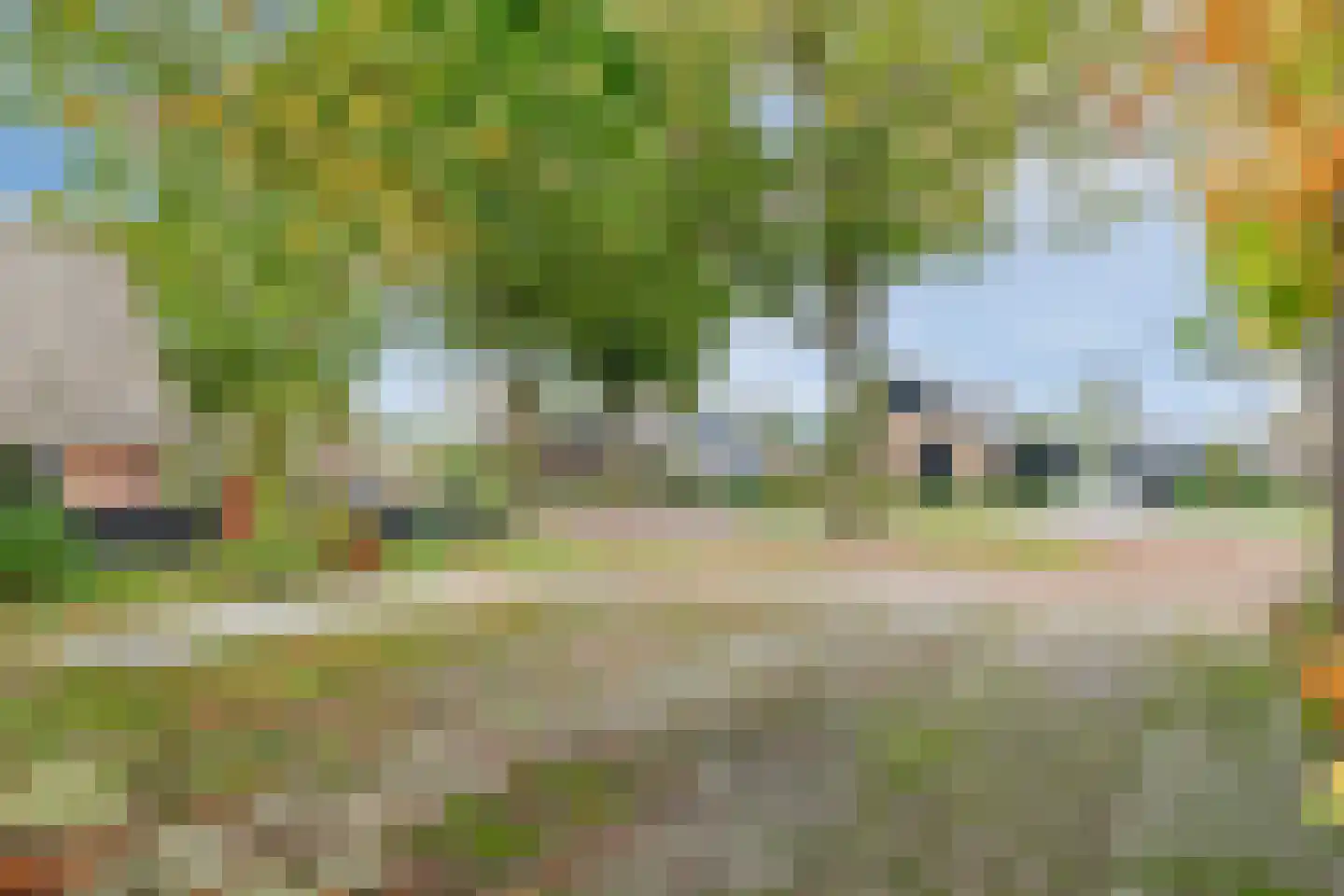 Tramstraat 65 Schoonoord thumbnail 5