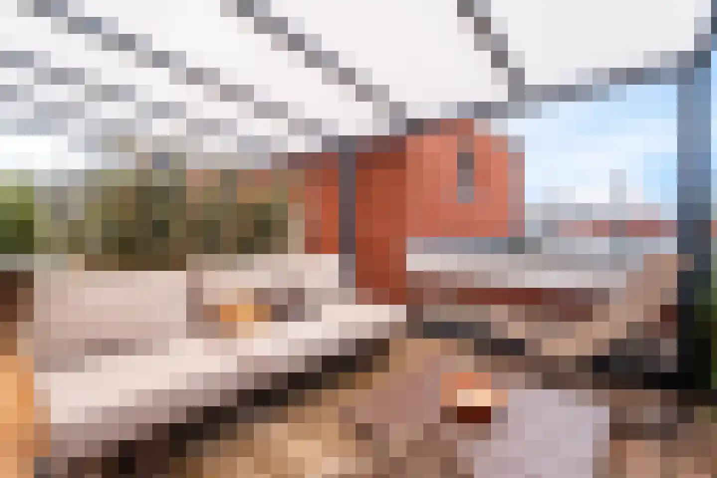 Tramstraat 66 A Dongen thumbnail 29