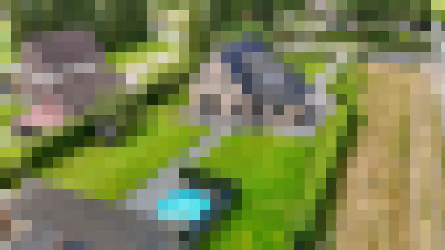 Tramstraat 70 Schoonoord thumbnail 62