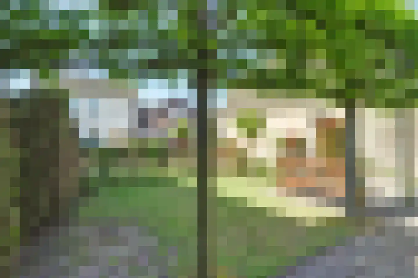 Tramstraat 74 Dongen thumbnail 5