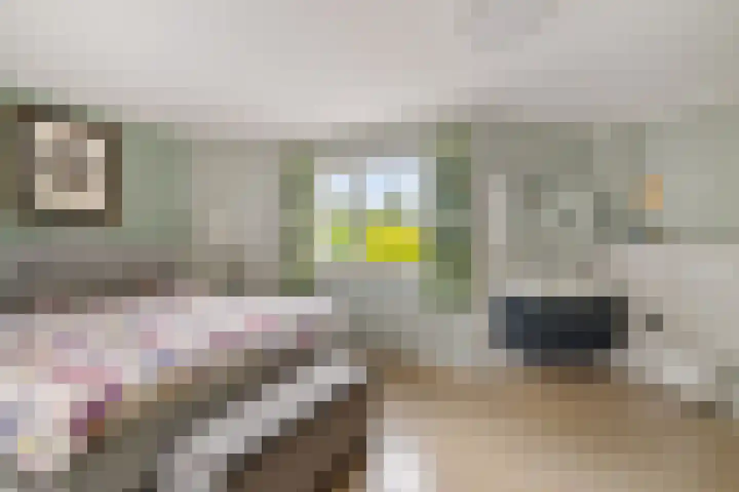 Tramstraat 87 Schoonoord thumbnail 23