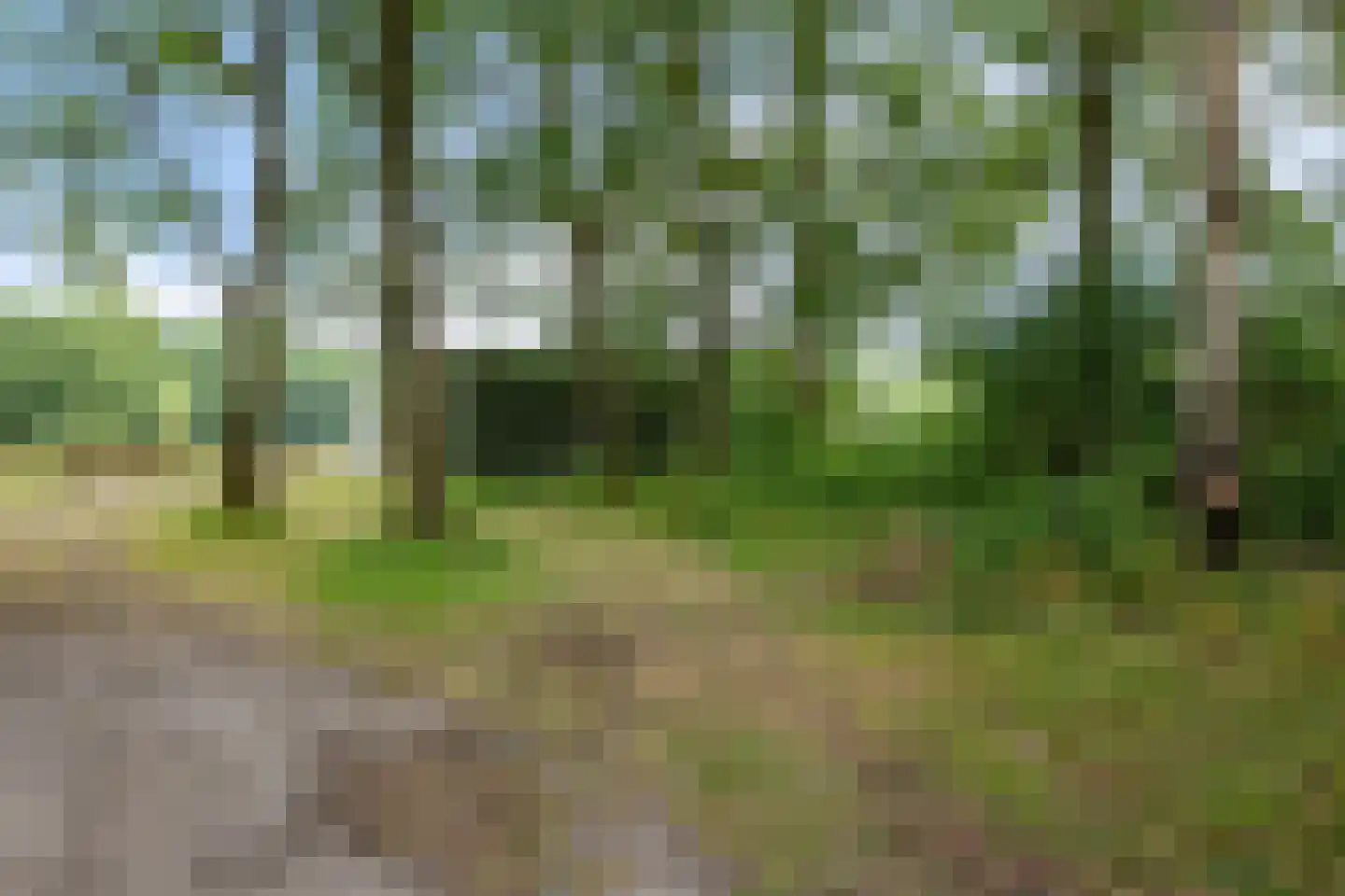 Tramstraat 87 Schoonoord thumbnail 50