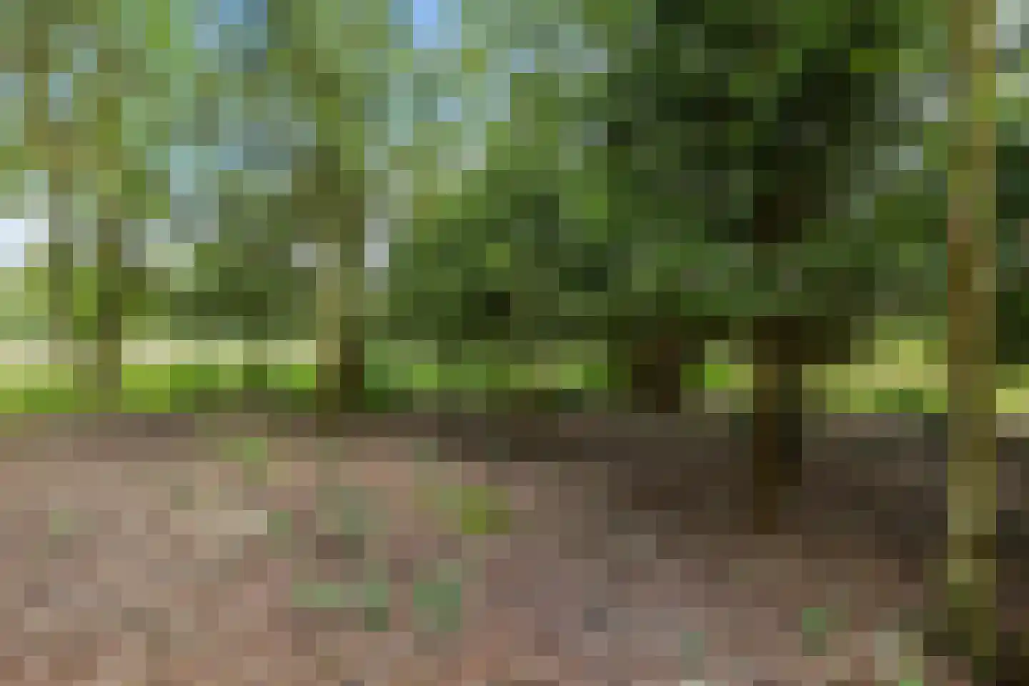 Tramstraat 87 Schoonoord thumbnail 55