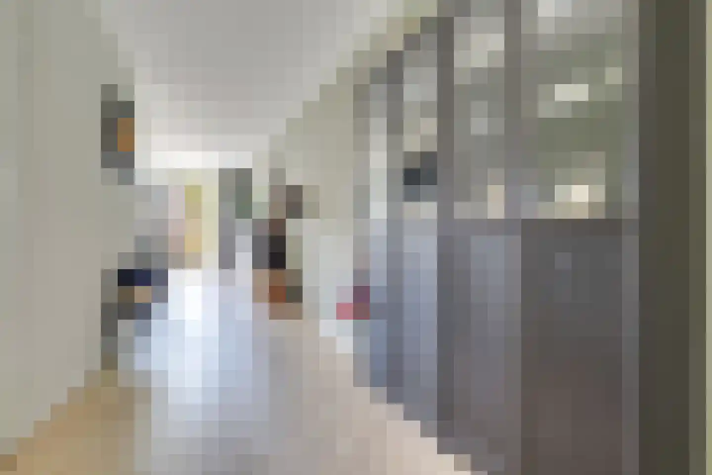 Tramstraat 9 Nieuwegein thumbnail 15