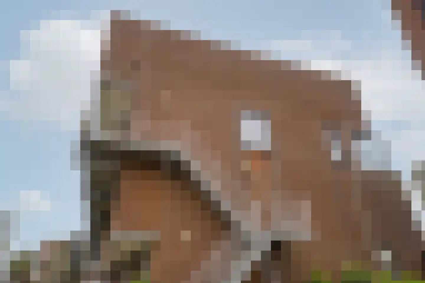 Tramstraat 99 Katwijk thumbnail 31