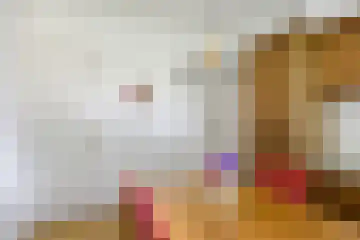 Tramstrjitte 1 Nijland thumbnail 13