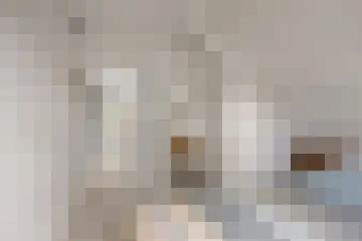 Tramstrjitte 1 Nijland thumbnail 18