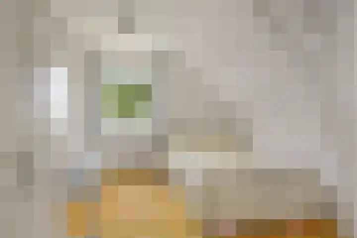 Tramstrjitte 1 Nijland thumbnail 19