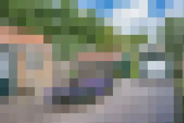 Tramstrjitte 1 Nijland thumbnail 25