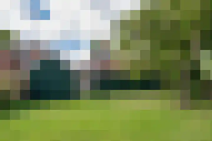 Tramstrjitte 1 Nijland thumbnail 27