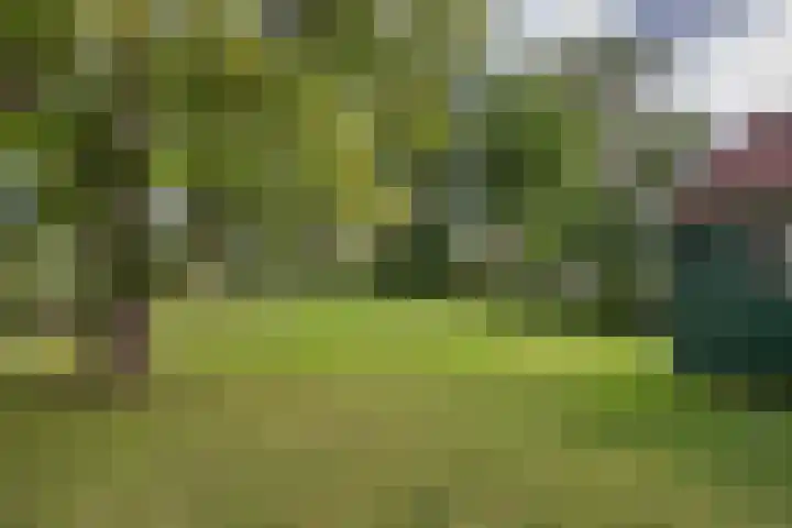 Tramstrjitte 1 Nijland thumbnail 28