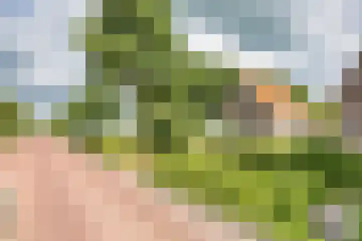 Tramstrjitte 1 Nijland thumbnail 29