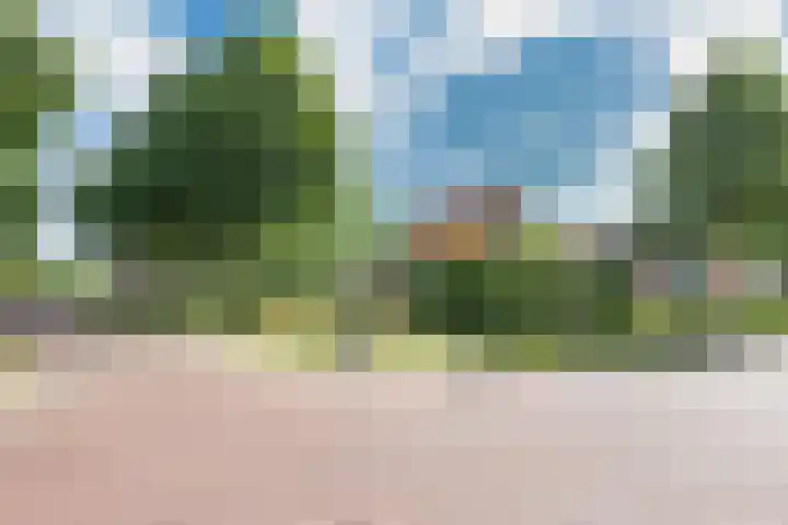 Tramstrjitte 1 Nijland thumbnail 31