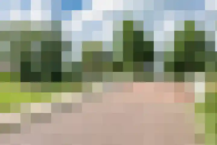 Tramstrjitte 1 Nijland thumbnail 32