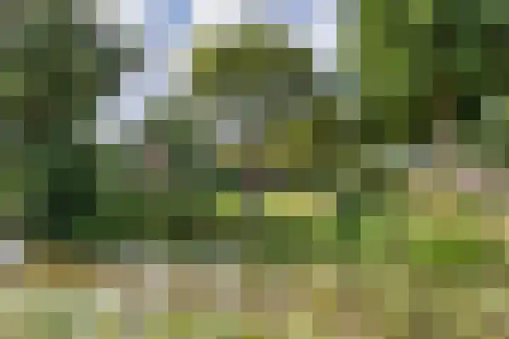Tramstrjitte 1 Nijland thumbnail 33