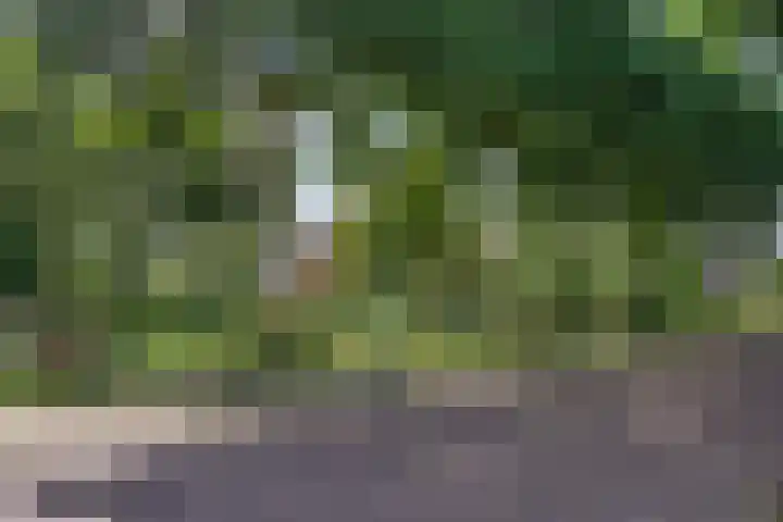 Tramstrjitte 1 Nijland thumbnail 34