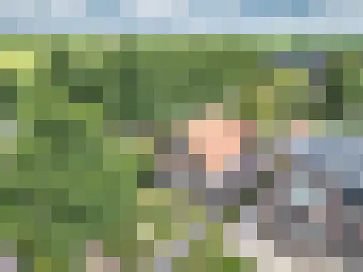 Tramstrjitte 1 Nijland thumbnail 35