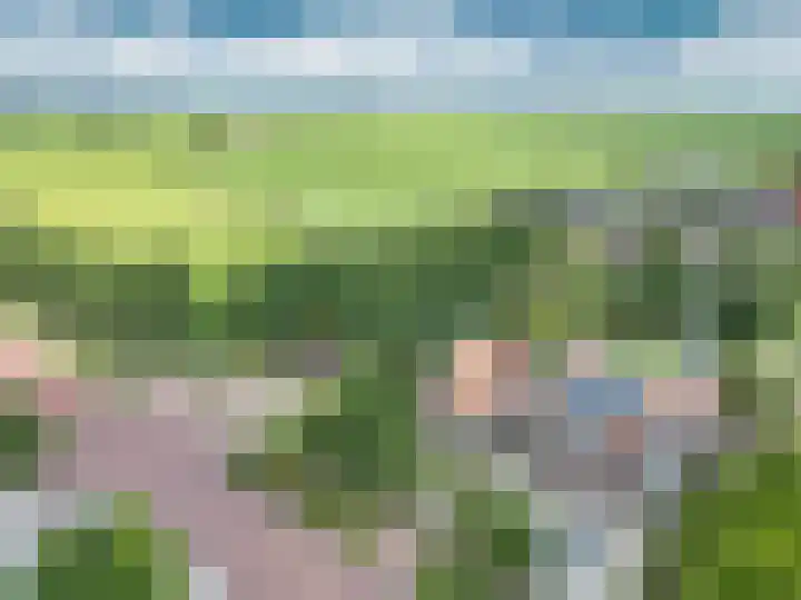 Tramstrjitte 1 Nijland thumbnail 36