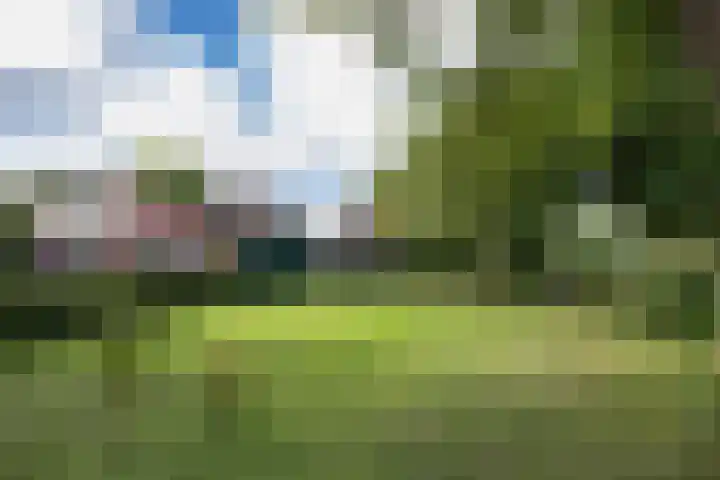 Tramstrjitte 1 Nijland thumbnail 4