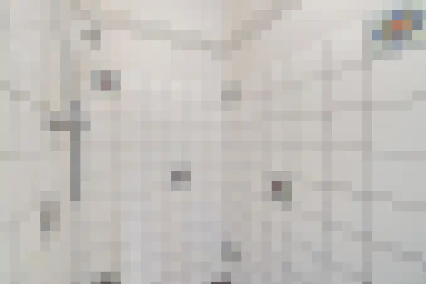 Tramstrjitte 2 Marsum thumbnail 29
